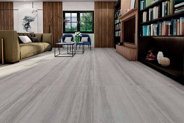 aecadia gris